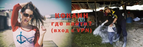 соль ск Алзамай