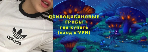 экстази Алексин