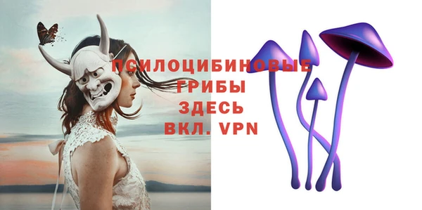 экстази Алексин