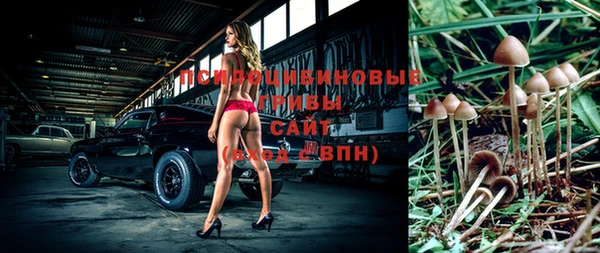 соль ск Алзамай