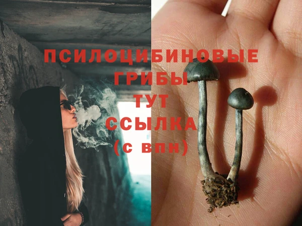 соль ск Алзамай