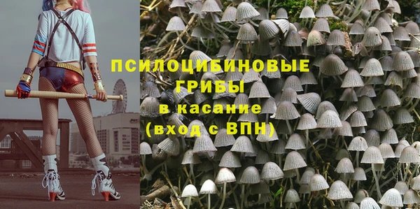 экстази Алексин