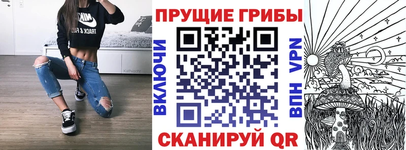МЕГА как войти  наркота  Чусовой  Псилоцибиновые грибы мухоморы 