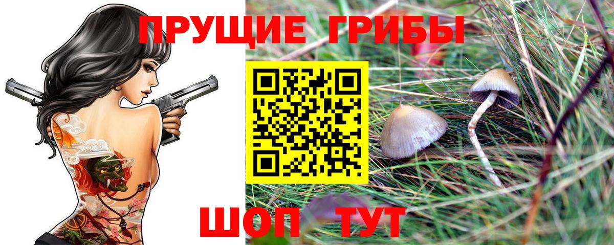 Псилоцибиновые грибы прущие грибы  Вход с VPN  дарнет шоп  Чусовой  Псилоцибиновые грибы Cubensis 
